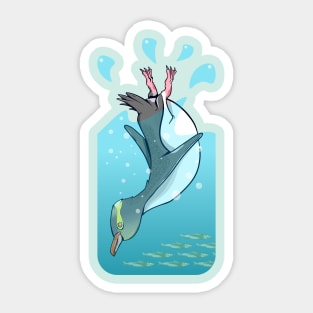 Yelloweye penguin swimming Sticker